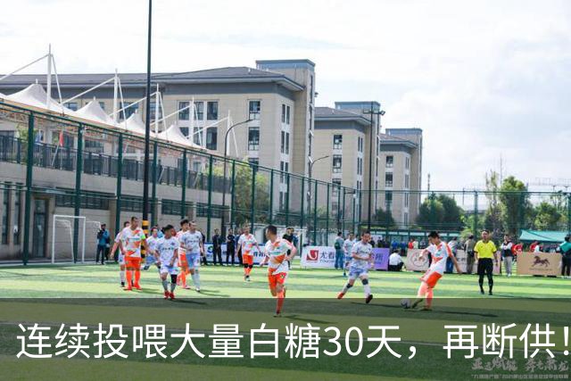 连续投喂大量白糖30天，再断供！国外网红扮“蚂蚁天神”整蛊野生蚁群